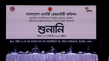 যৌক্তিক দাম নির্ধারণ না হলে এলপিজি ব্যবসা করা যাবে না : লোয়াব