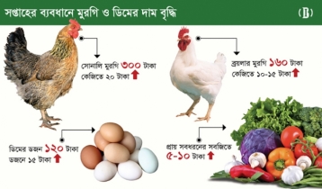 ফের বেড়েছে মুরগি ও ডিমের দাম