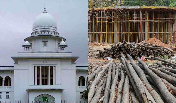 সোহরাওয়ার্দী উদ্যানে গাছ কাটা নিয়ে রিট খারিজ