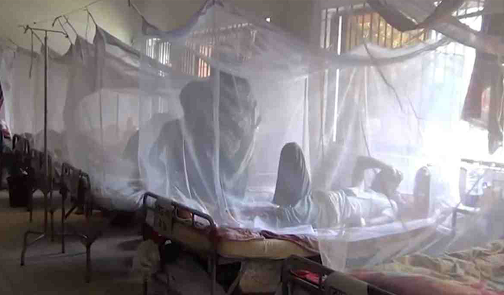 Dengue: 25 cases in 24 hours