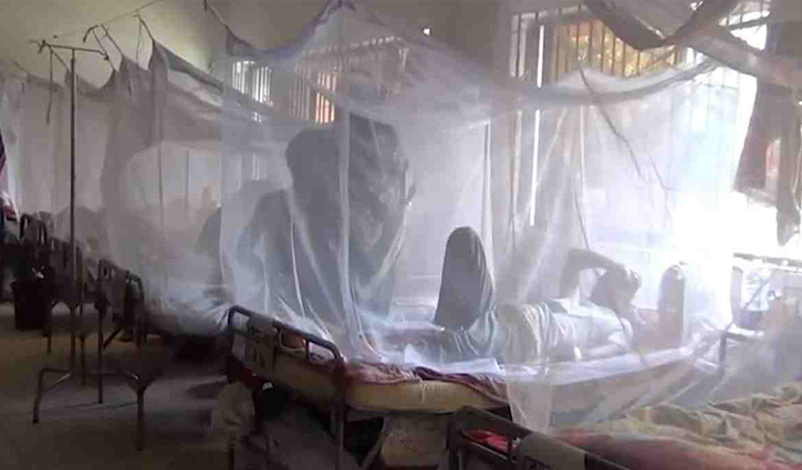 Dengue: 25 cases in 24 hours Dengue: 25 cases in 24 hours
