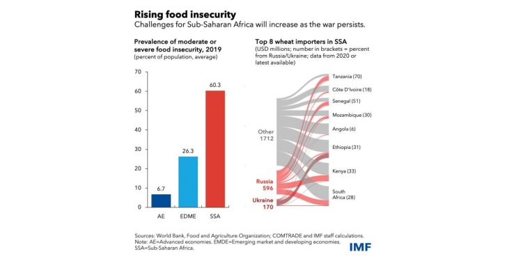 Africa faces new shock as war raises food and fuel costs