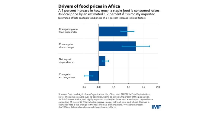 Africa food prices are soaring amid high import reliance