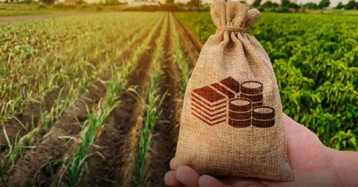 Krishi Bank to raise Tk10,318cr via bonds to meet capital deficit Krishi Bank to raise Tk10,318cr via bonds to meet capital deficit