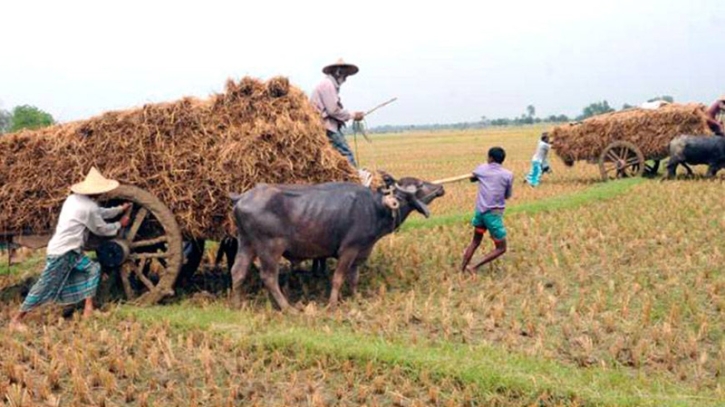 Experts review remedies as soil health declines in Barind region