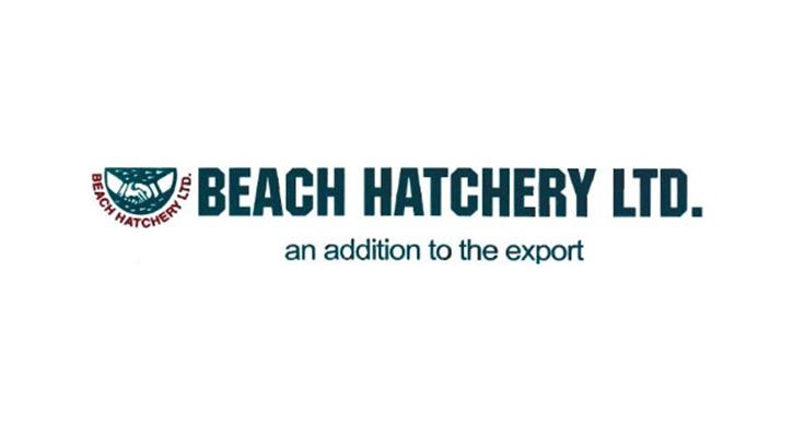 Beach Hatchery resumes production after more than 5 years