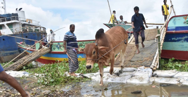 Cattle shipment scanty as traders watch prices