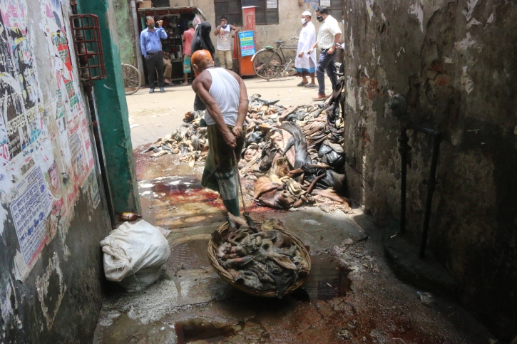 All animal waste cleaned, says Mayor Atiqul All animal waste cleaned, says Mayor Atiqul