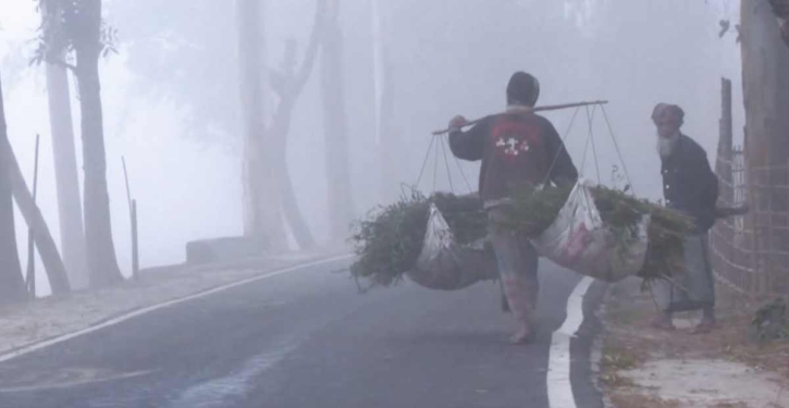 Mild cold wave sweeps over 4 districts Mild cold wave sweeps over 4 districts