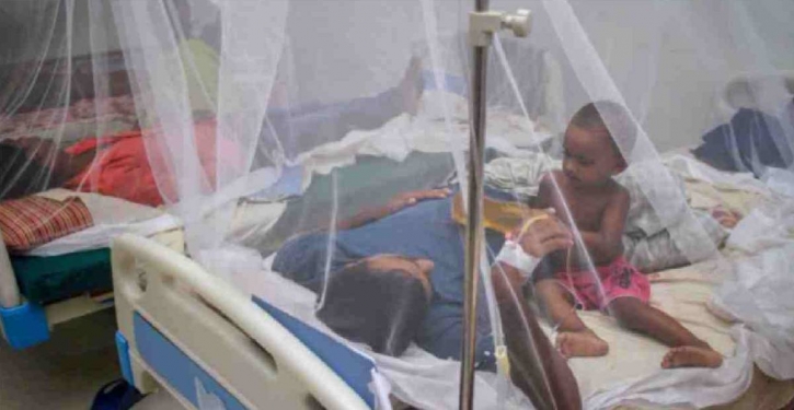 Dengue claims 2 more lives in Dhaka