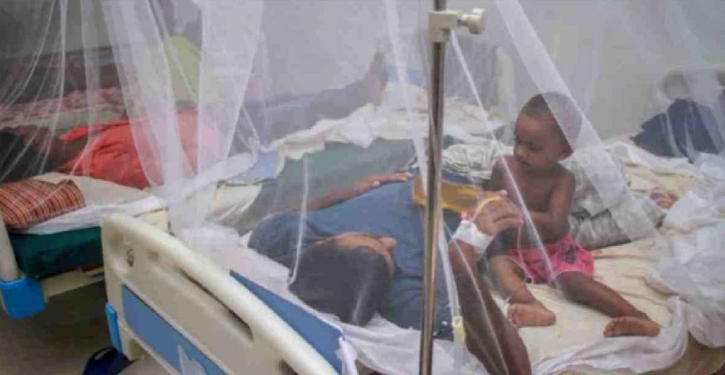 2 more die from dengue, 211 others hospitalised