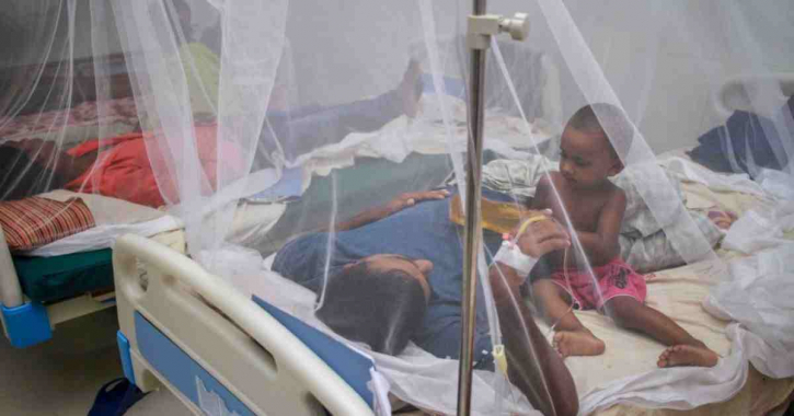 Bangladesh has zero dengue cases: Health authorities