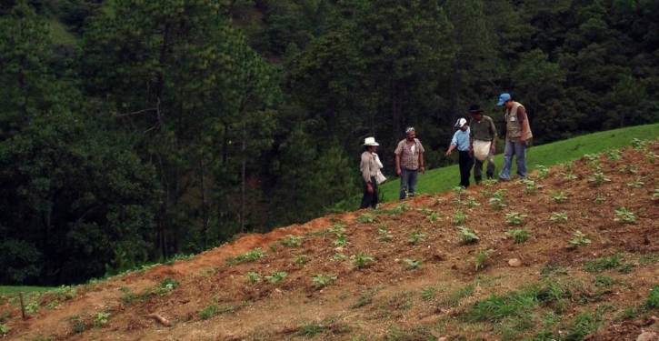 FAO warns 90% of Earth’s topsoil at risk by 2050