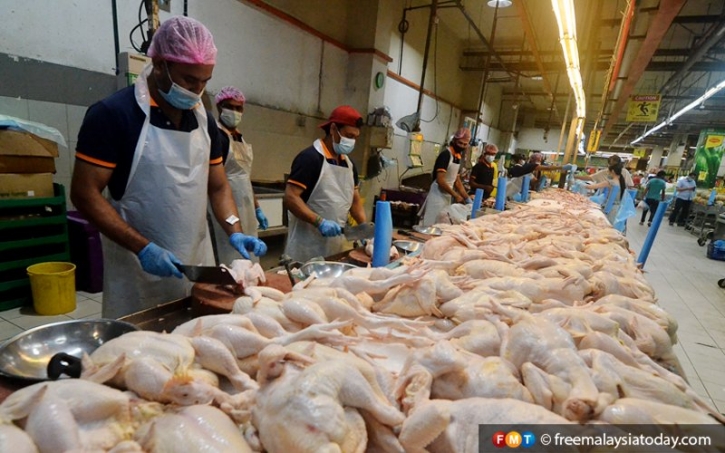 Malaysia bans chicken exports