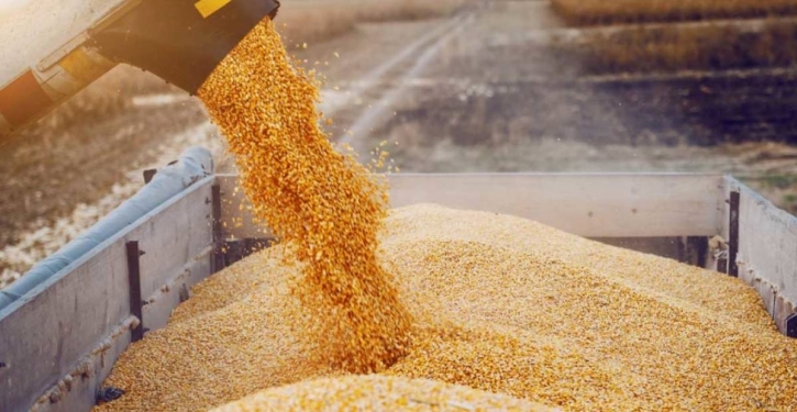 World food prices fall 8.6% in July, biggest since 2008: FAO World food prices fall 8.6% in July, biggest since 2008: FAO