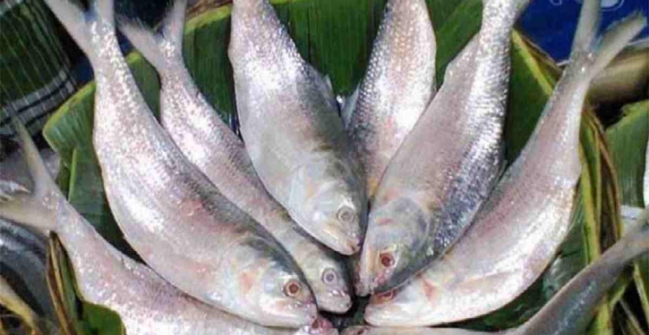 Govt served legal notice to ban hilsa export to India in 7 days