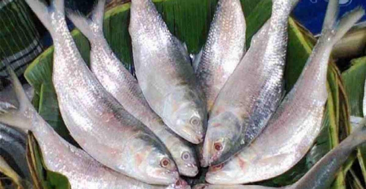 Govt served legal notice to ban hilsa export to India in 7 days Govt served legal notice to ban hilsa export to India in 7 days
