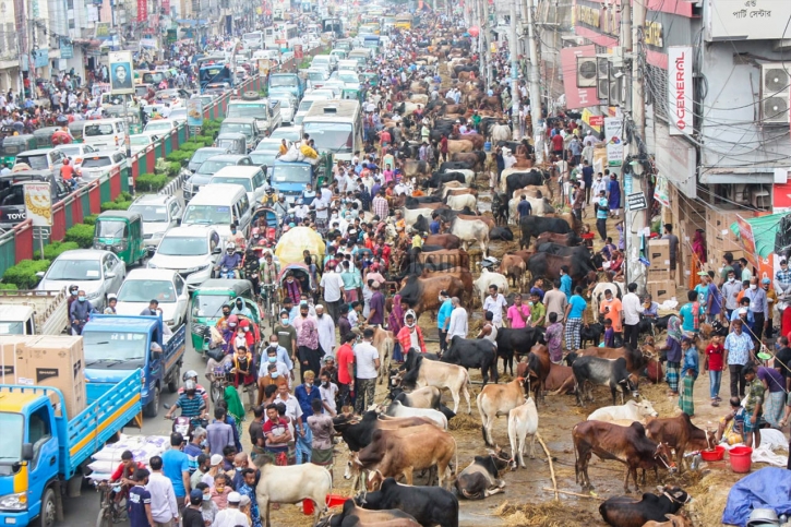 Illegal cattle market draws neighbourhood ire