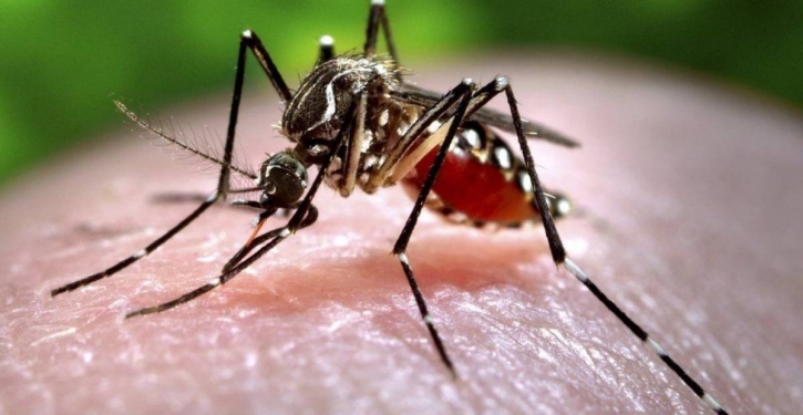 60 new dengue patients hospitalised