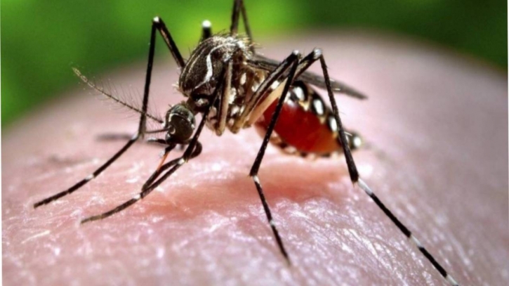 56 new dengue patients hospitallised