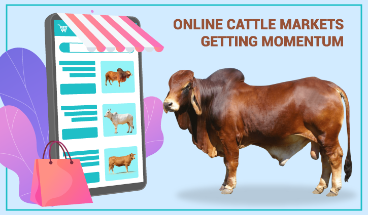 Online sale of sacrificial animals soars amid Covid restrictions