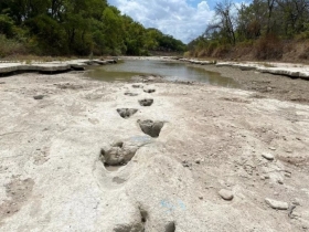 Climate change led to dinosaurs’ demise, now, drought reveals more of their tracks