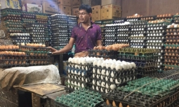 Now egg price rises to Tk 130 a dozen