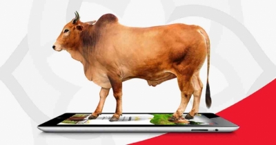 ICT Division to manage this year’s digital cattle haat