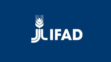 Investment needed to transform food systems: IFAD
