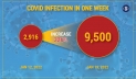 Covid claims 12 lives, infects 9,500 in 24hrs