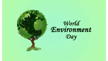World Environment Day: Need to focus responses on areas causing environmental degradation