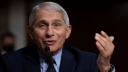 Omicron might mark end of Covid pandemic phase: Fauci