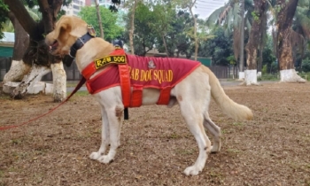 Gulistan blast: RAB dog gets award for heroic role