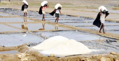 Salt farmers to get max Tk 1.53 lakh low-cost loan per acre