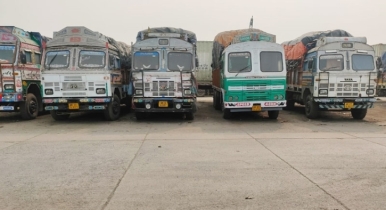 1250 tonnes of sugar on 42 trucks from India stuck at Benapole for a month