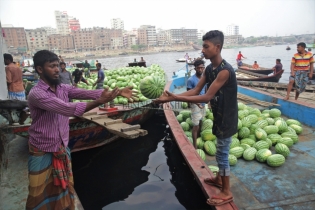 In Pictures: Boats unload watermelon at Badamtali Ghat