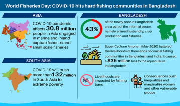 Covid-19 marginalises fishing communities in Bangladesh