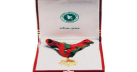 PM Hasina distributes Independence Award