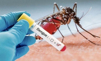 Yet another dies from dengue, new 128 in 24hrs