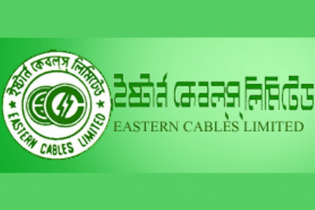 Eastern Cables’ earnings decline further, declares no dividend