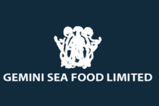 Gemini Sea Food`s earnings sink