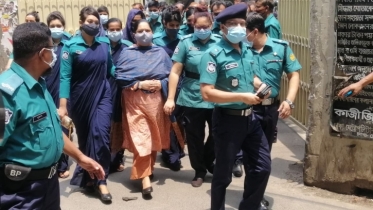 Court to pass order on Rozina’s bail Sunday