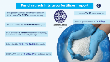 Import of urea fertiliser faces setbacks for lack of funds: BCIC