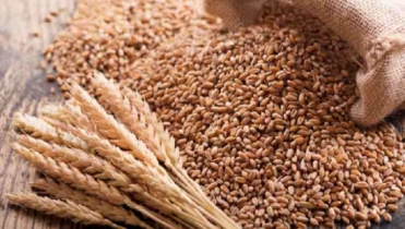 Punjab firm wants to export wheat to Bangladesh: Official