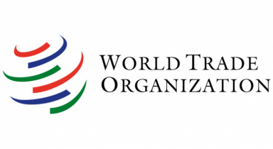 WTO: Environment top concern in triennial review of TBT Agreement