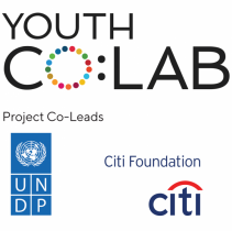 UNDP, Citi support young entrepreneurs to achieve SDGs