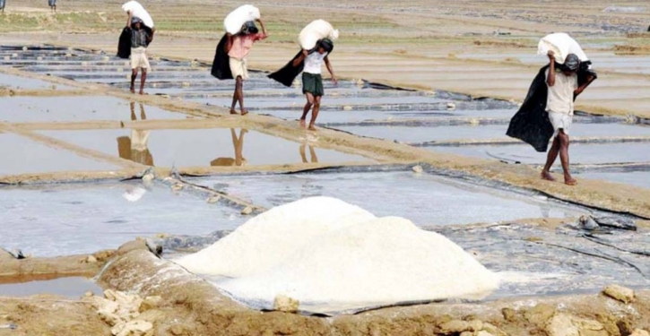 Govt to spur use of modern tech in salt production