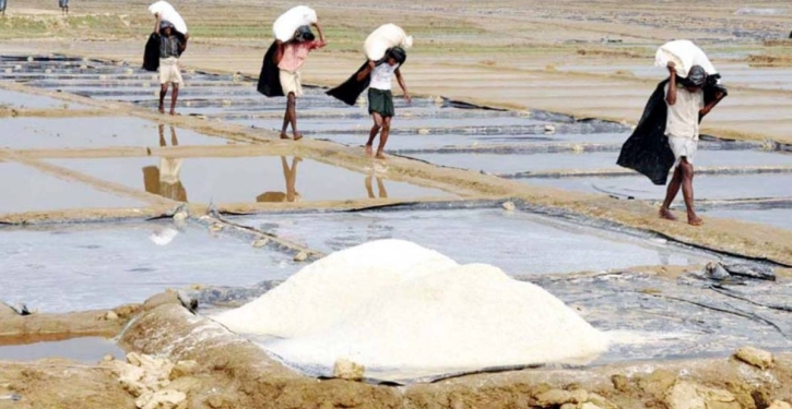 Salt farmers to get max Tk 1.53 lakh low-cost loan per acre Salt farmers to get max Tk 1.53 lakh low-cost loan per acre