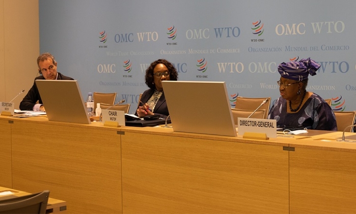 WTO members look to MC12 outcome on trade finance
