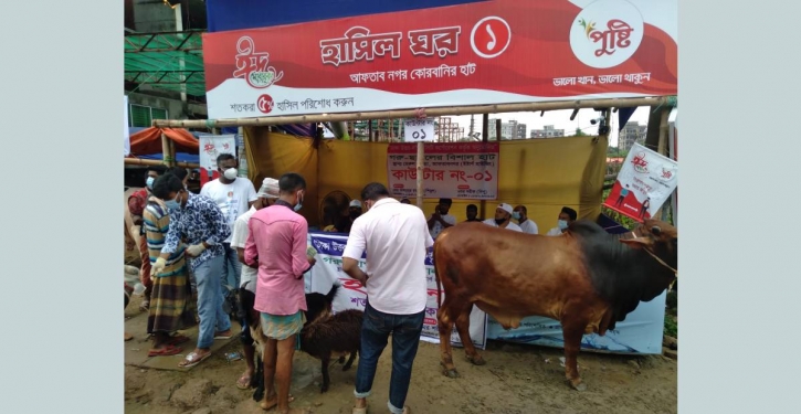 Traders see a flat cattle market in city Traders see a flat cattle market in city
